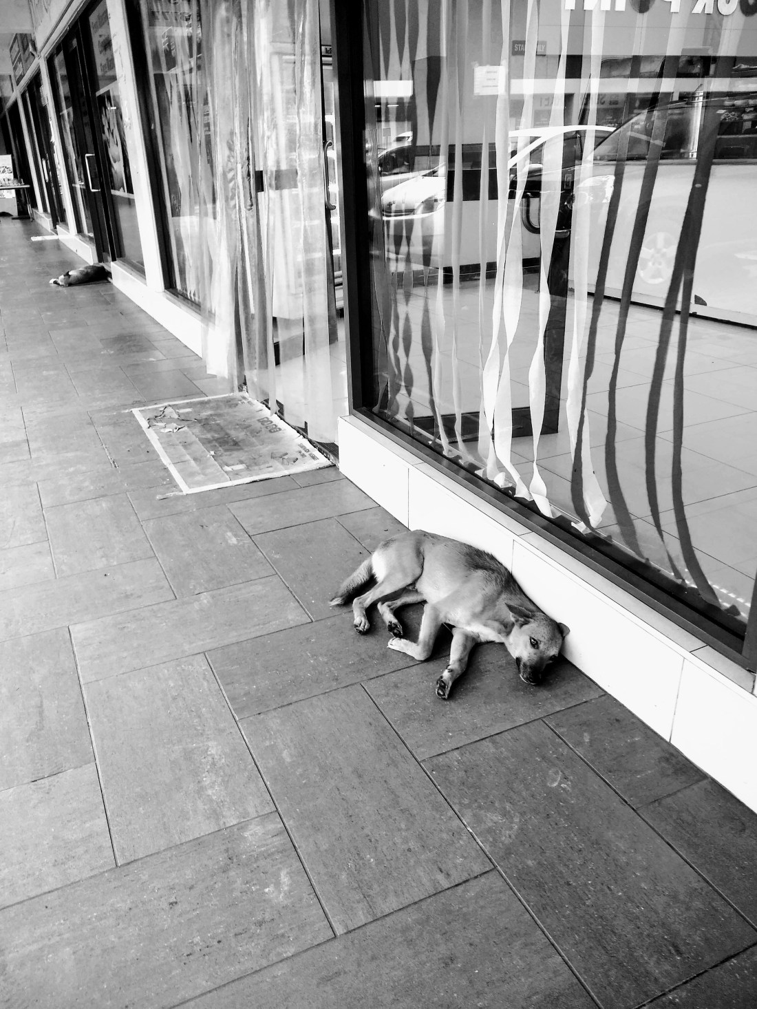 img_20181011_110046171