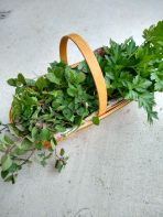 IMG_20190110_131528916_HDR